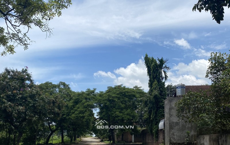 CHÍNH CHỦ CẮT LỖ 300TR BÁN NHANH 2 LÔ MẶT ĐƯỜNG PHÚ CÁT, CÁCH ĐẠI HỌC QUỐC GIA 1KM.